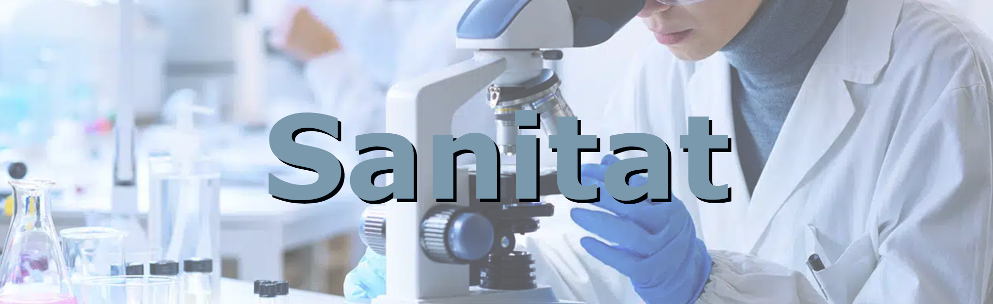 sanitat